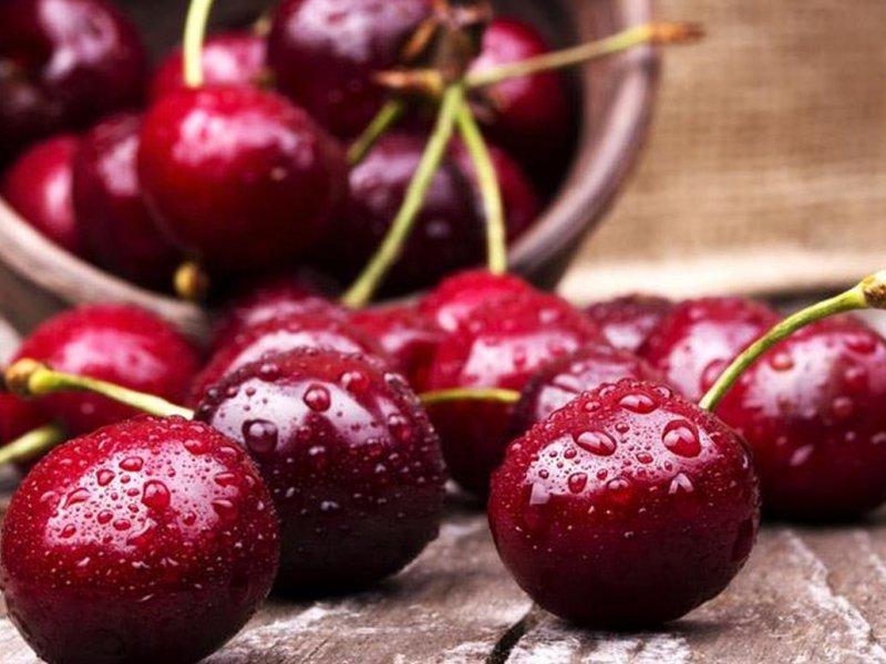Вишня купить саженцы из питомника в Сафоново